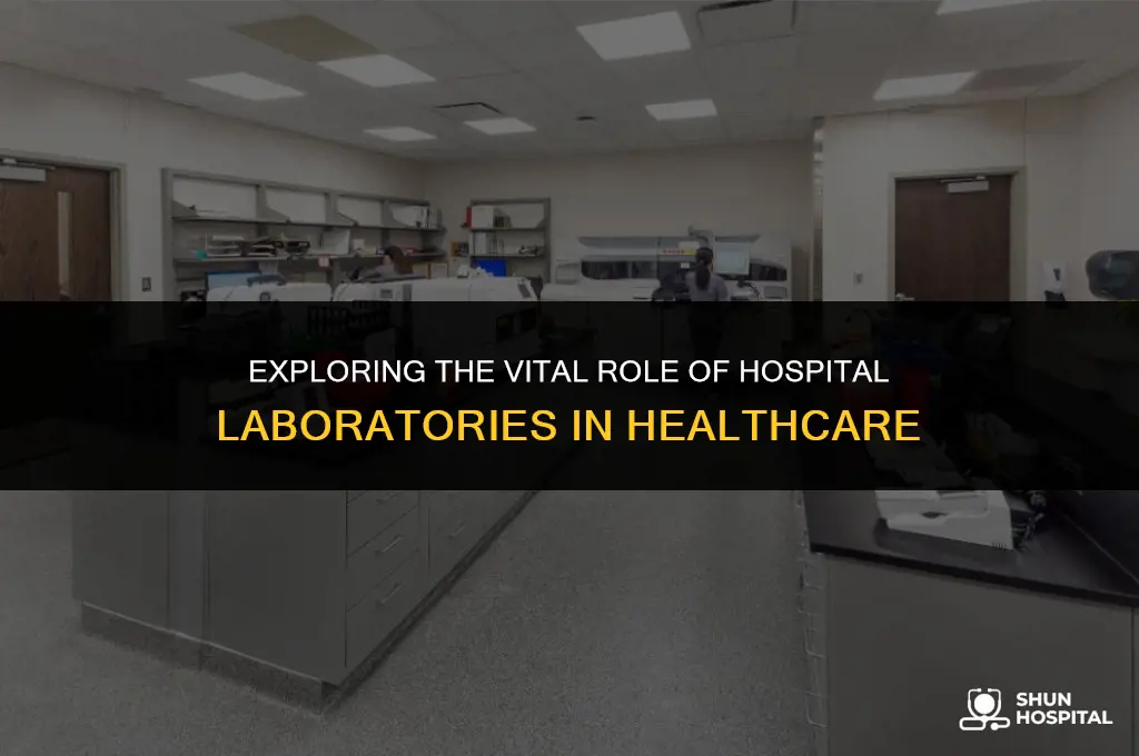 what is hospital laboratory