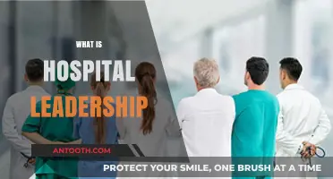 Exploring the Essence of Hospital Leadership: A Comprehensive Guide