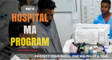 Exploring the Comprehensive World of Hospital Management Programs