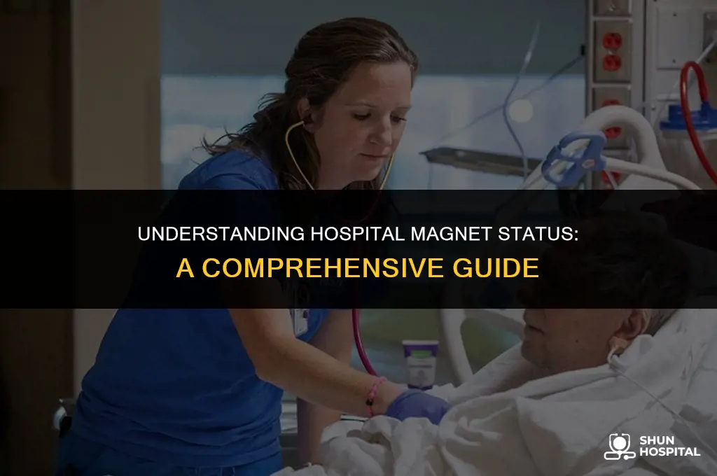 what is hospital magnet status