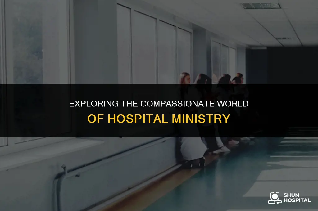 what is hospital ministry