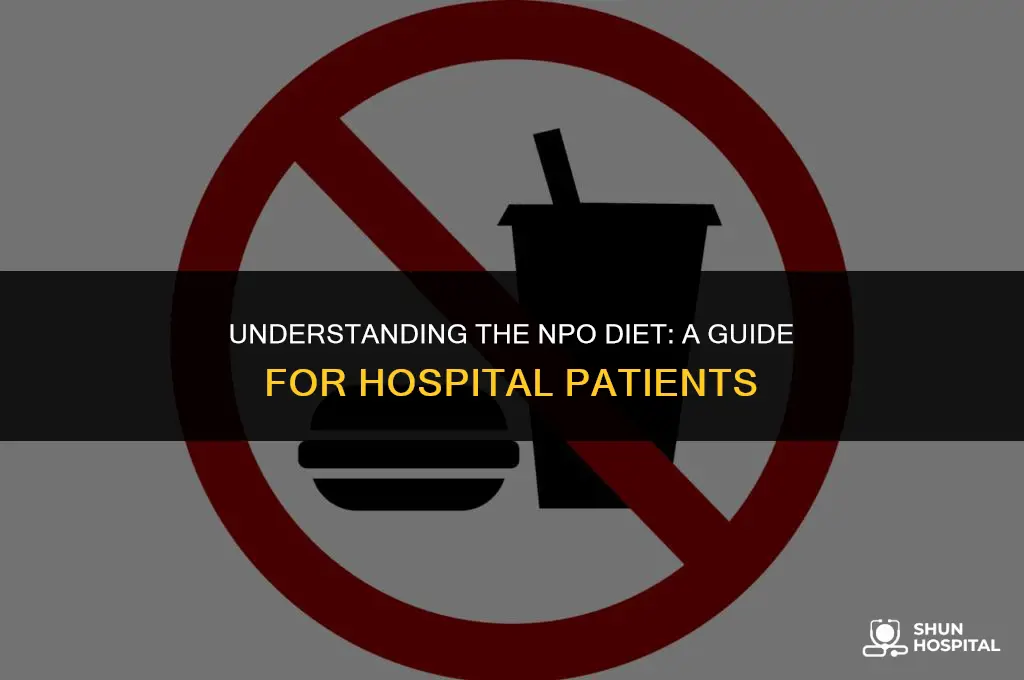 what is hospital npo diet