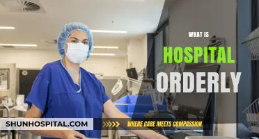 Exploring the Role of a Hospital Orderly: Duties and Responsibilities