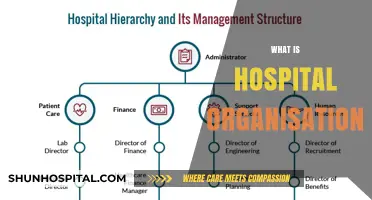 Understanding Hospital Organization: A Comprehensive Guide