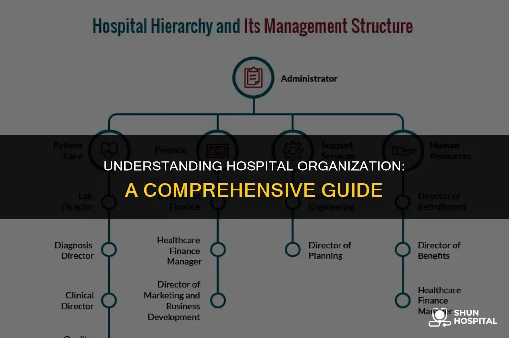what is hospital organisation