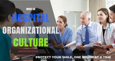 Exploring the Heart of Healthcare: Understanding Hospital Organizational Culture