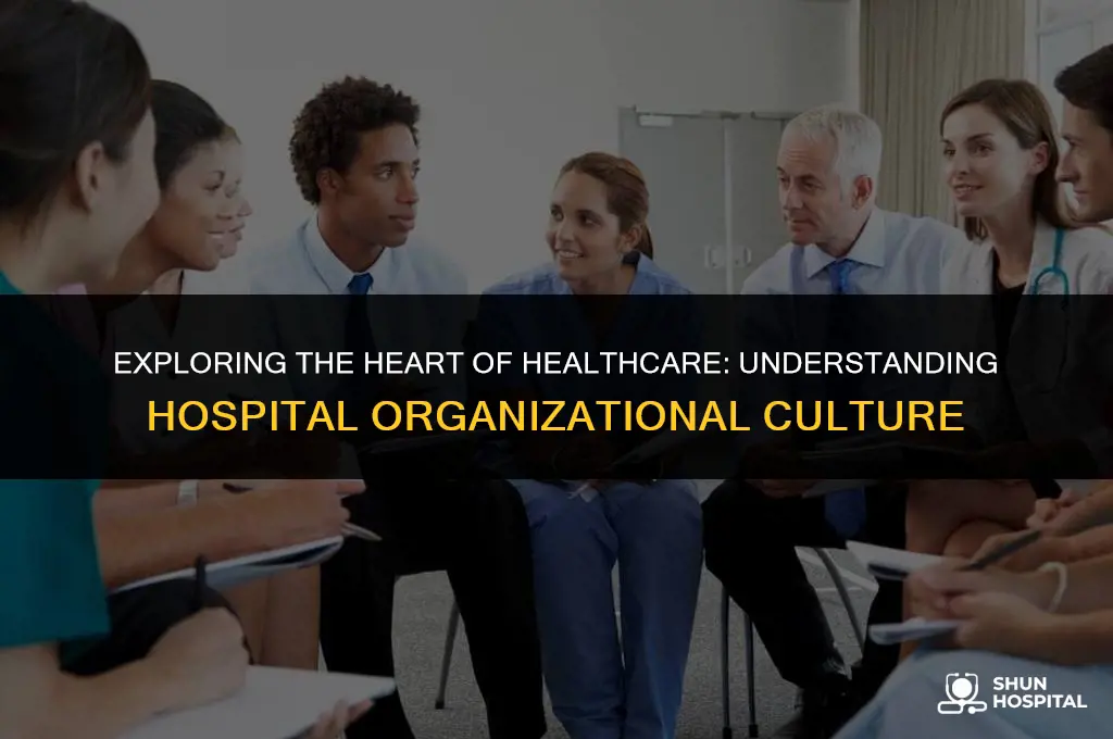 what is hospital organizational culture