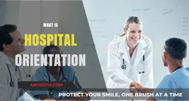 Navigating Your First Day: A Comprehensive Guide to Hospital Orientation