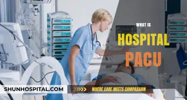 Understanding Hospital PACU: A Comprehensive Guide for Patients and Families