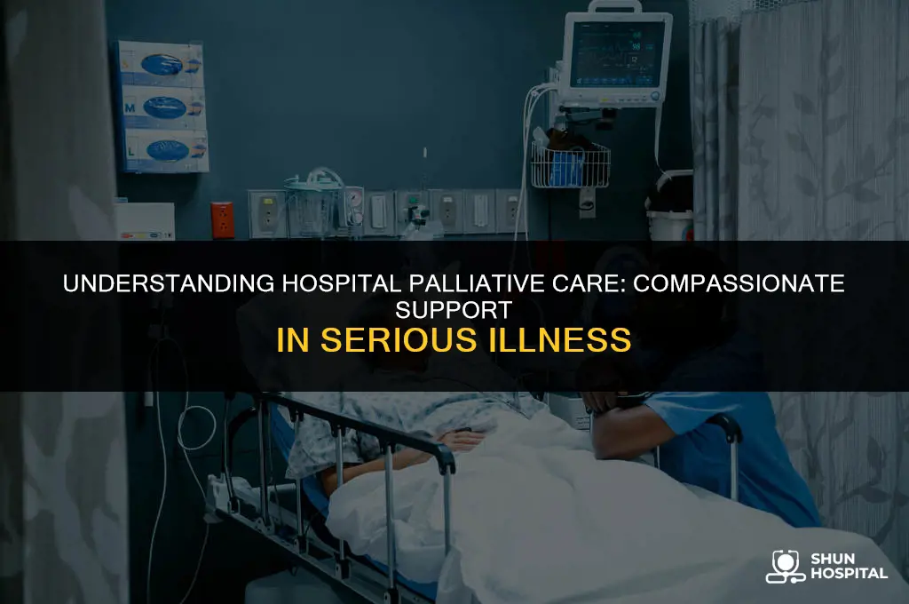 what is hospital palliative care