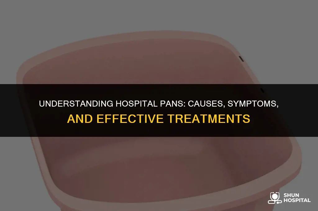 what is hospital pan