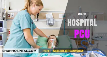 Understanding Hospital PCUs: A Comprehensive Guide
