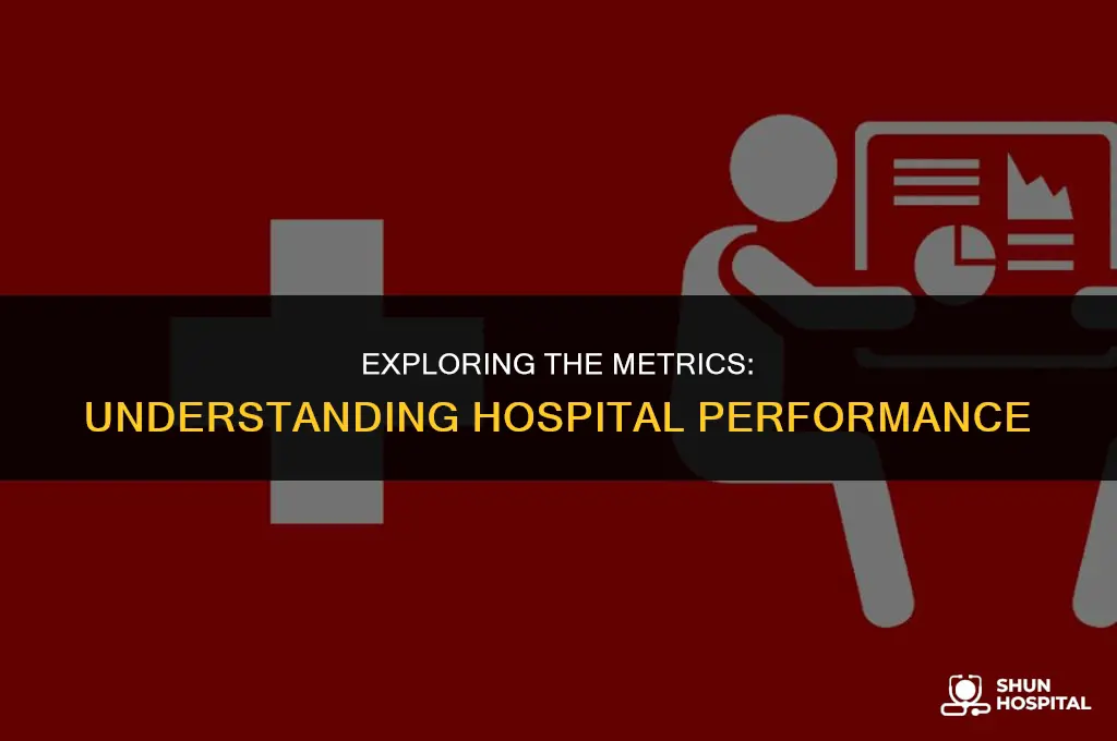 what is hospital performance