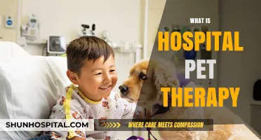 Healing Paws: The Power of Pet Therapy in Hospitals