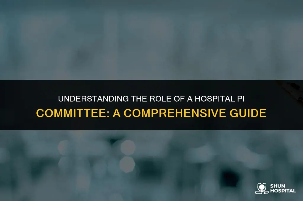 what is hospital pi committee