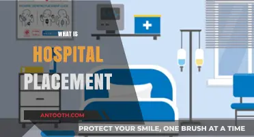 Exploring Hospital Placements: A Comprehensive Guide for Students