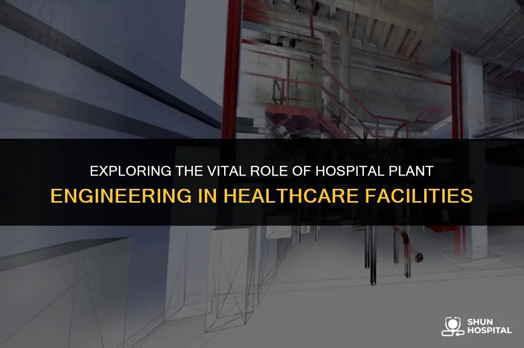 what is hospital plant engineering