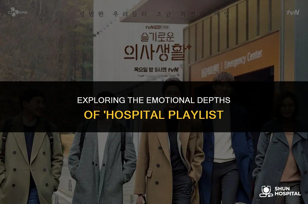 what is hospital playlist about