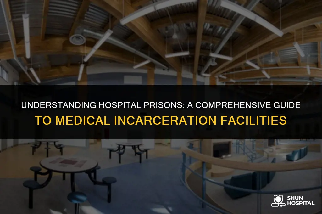 what is hospital prision