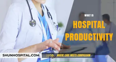 Boosting Efficiency: A Deep Dive into Hospital Productivity
