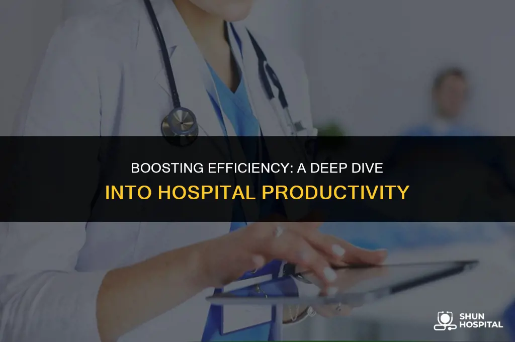 what is hospital productivity