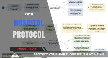 Understanding Hospital Protocols: A Comprehensive Guide for Patients and Families