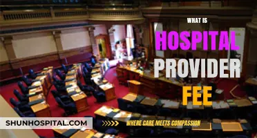 Understanding Hospital Provider Fees: A Comprehensive Guide