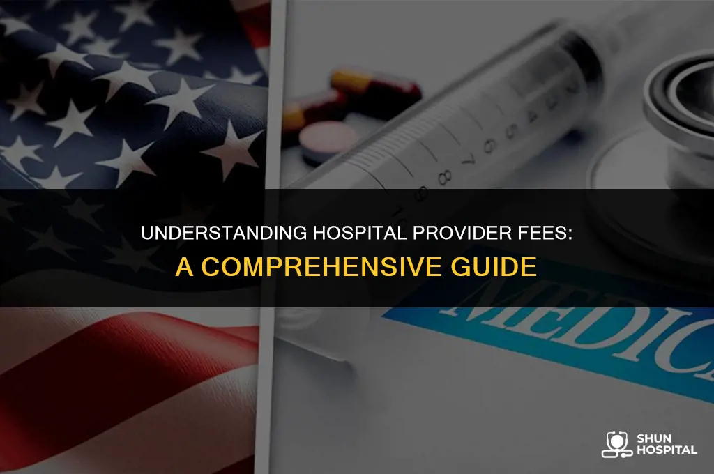 what is hospital provider fee
