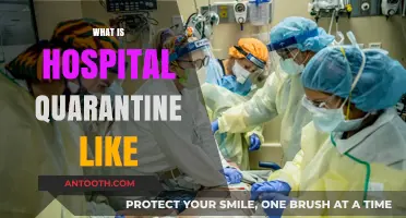 Behind the Scenes: A Glimpse into Hospital Quarantine Life