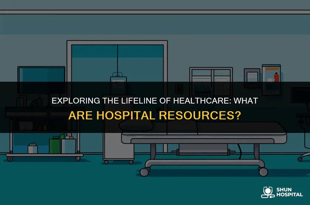 what is hospital reaource