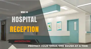 Exploring the Frontline: A Comprehensive Guide to Hospital Reception