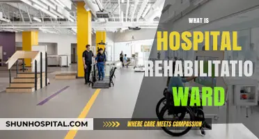 Understanding Hospital Rehabilitation Wards: A Comprehensive Guide