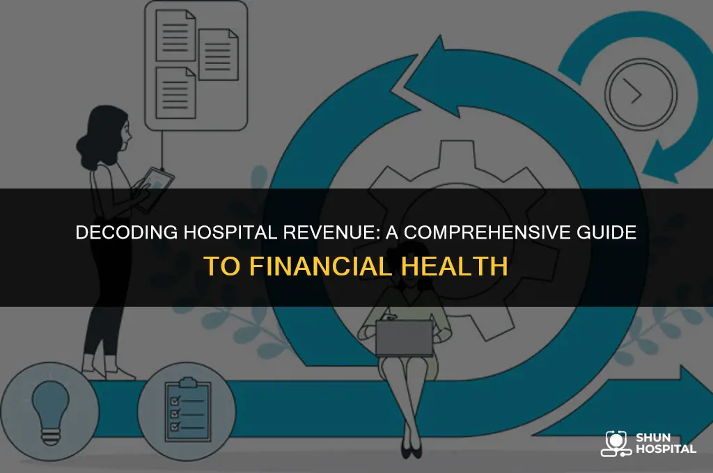 what is hospital revenue