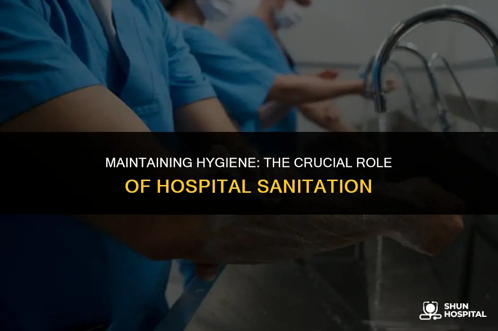 what is hospital sanitation