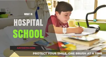Exploring the Unique World of Hospital-Based Education