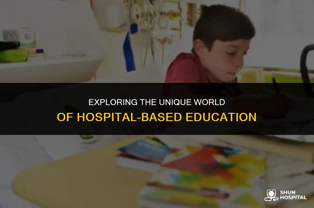what is hospital school