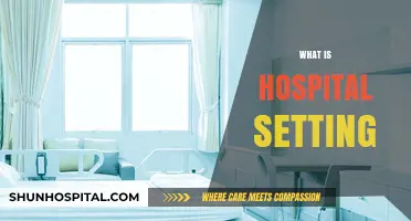 Exploring the Dynamics of a Hospital Setting: A Comprehensive Guide