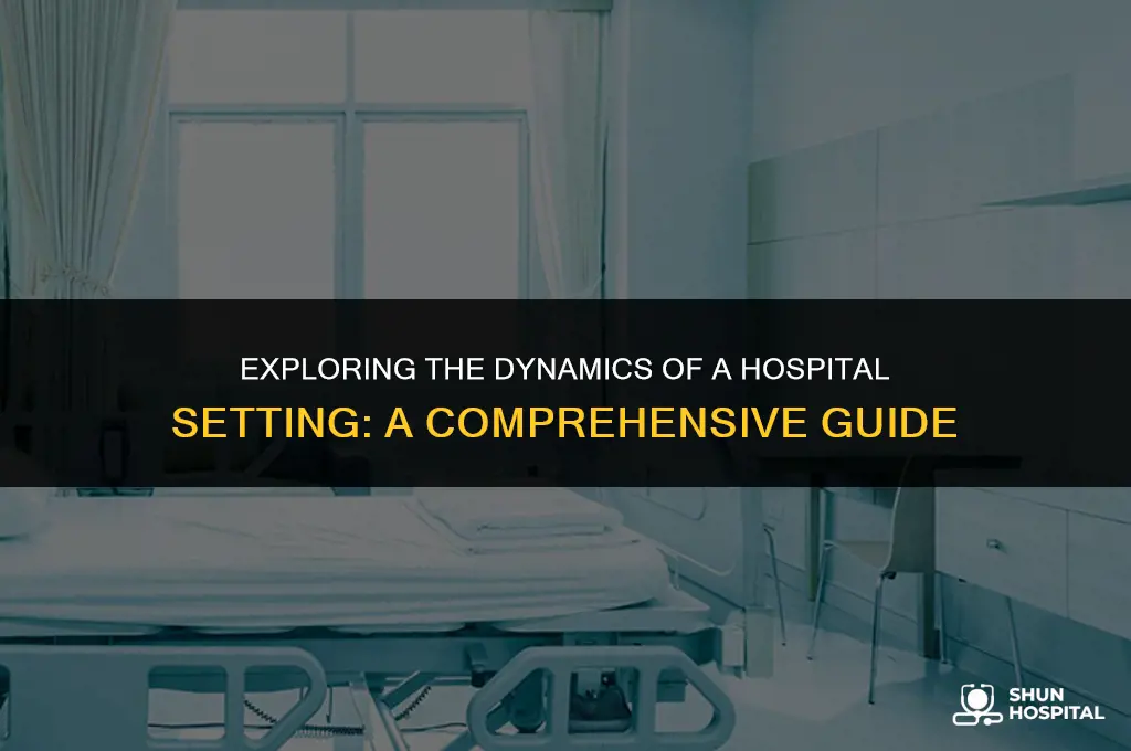 what is hospital setting