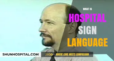 Bridging Communication Gaps: Understanding Hospital Sign Language