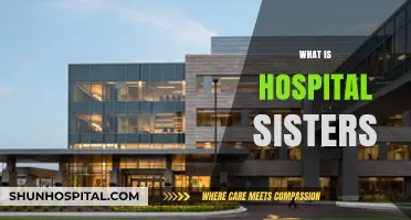Exploring the Vital Role of Hospital Sisters in Healthcare