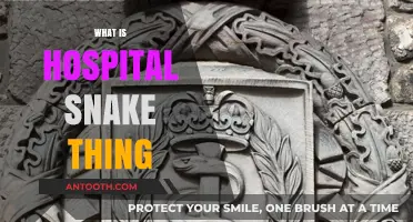 Unveiling the Mystery: What's Behind the Hospital Snake Phenomenon?