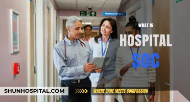 Exploring the Dynamics of Hospital Social Work: A Comprehensive Guide