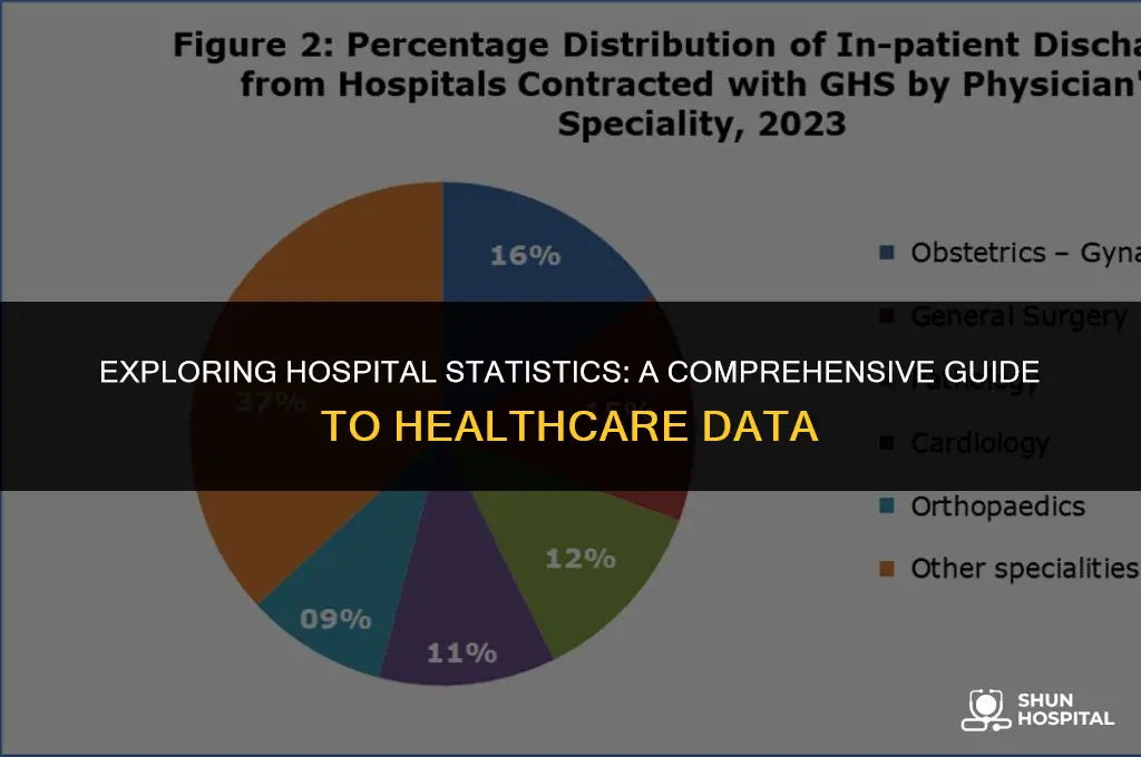 what is hospital statistics