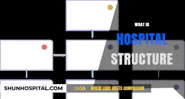 Understanding the Complex Framework of a Modern Hospital