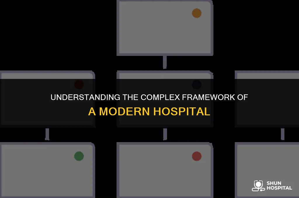 what is hospital structure