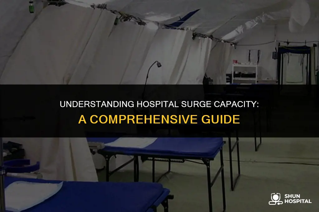 what is hospital surge capacity