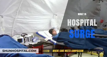 Understanding Hospital Surge: Causes, Effects, and Management Strategies