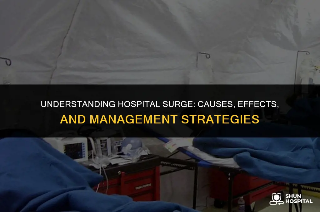 what is hospital surge