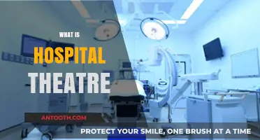 Exploring the Lifeline of Healthcare: Inside the Hospital Theatre