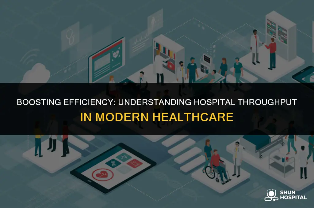 what is hospital throughput